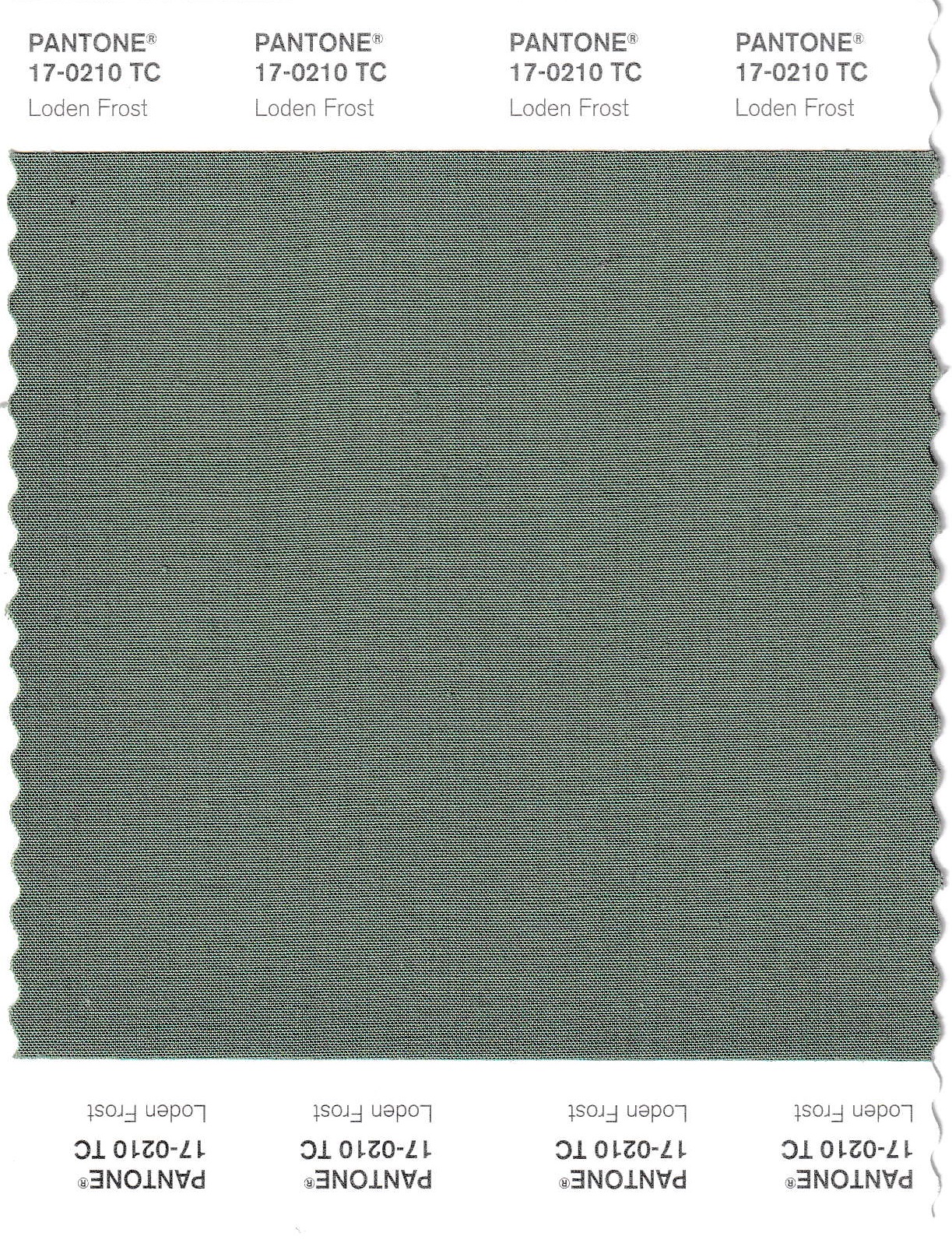 fabric.jpg