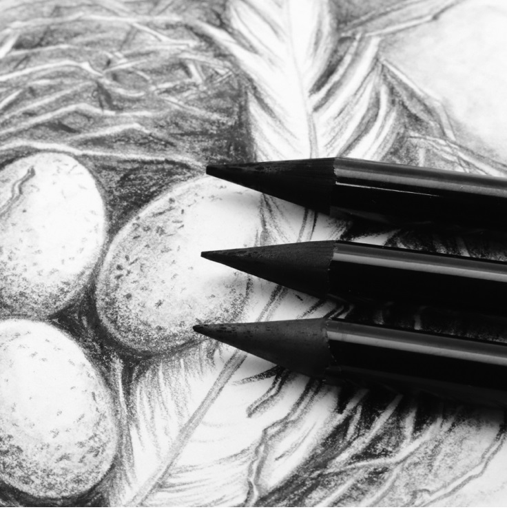 Mont Marte Charcoal Pencils | Himalaya Fine Art Supplies